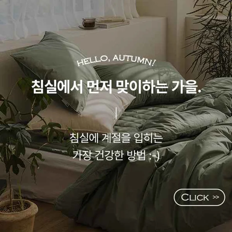 브랜드 드리울의 대표 이미지